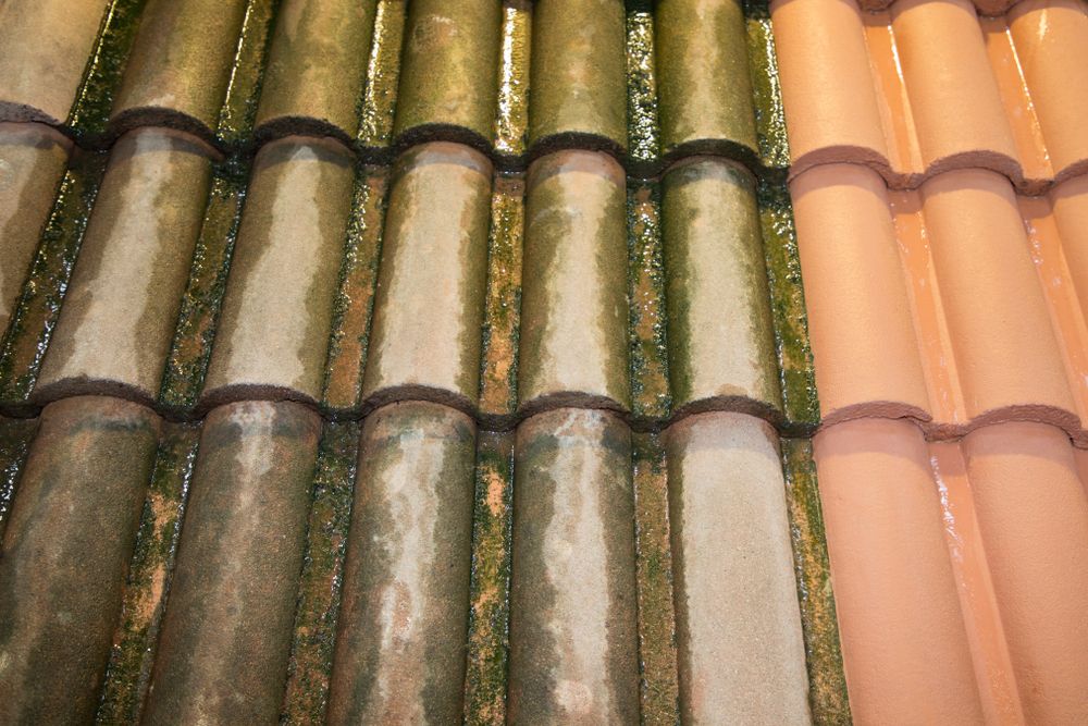 Oud vieze dakpannen laten inspecteren in Eelde